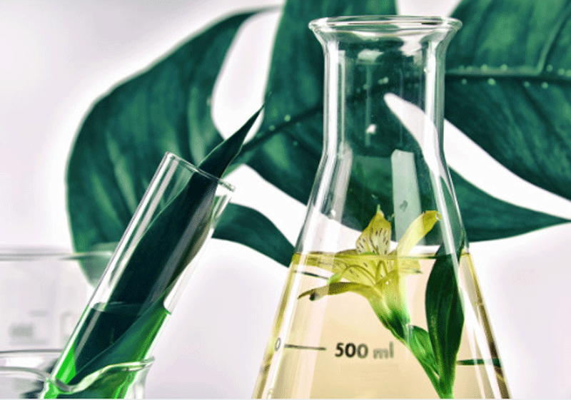 Classifications of Herbal Extracts