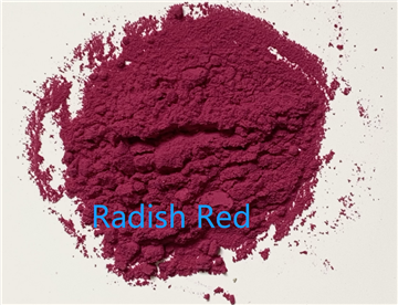 Red peel Red heart Radish Powder Radish Red