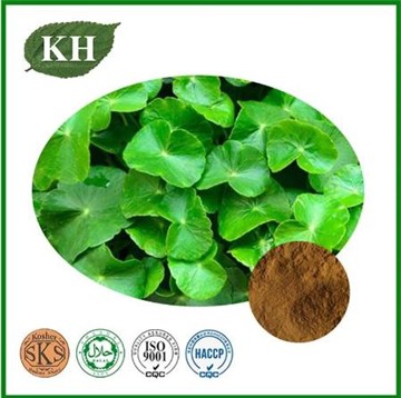 Application of Gotu Kola Extract in Cosmetics Industry