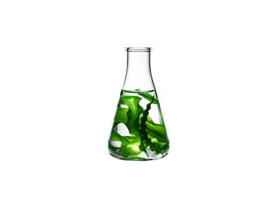 Identification of True or Fake Organic Seaweed Iodine by Heating