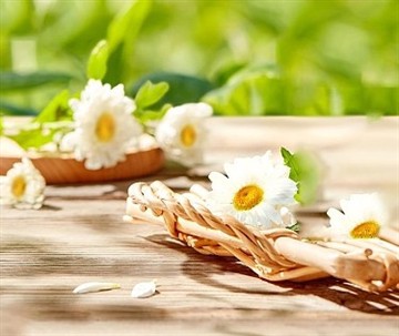 Selenium-enriched Plant Powder Available